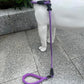 Slip Lead Dog Leash，Strong Nylon Rope Leash and Padded Handle,No Pull Outdoor Walking Training Lead for Small Medium Large Dogs(Purple,1/2"×4ft)