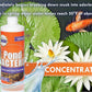 Pondworx Pond Bacteria - Concentrated & Formulated for Water Features - Safe for Koi - 16 Ounces & Treats up to 2,500 gallons of Water