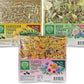 Small Pet Select Forage Tray Bundle, 3 Pack of Foraging Trays for Rabbit, Guinea Pig, Hamster or Bunny - Natural Treats, Dandelion, Flower, Herb Mix 2.5oz Each
