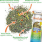 Meowijuana Rainbow Bundle | Get Kickin' Refillable Rainbow Toy and Cloud 9 Catnip Blend | Promotes Play and Cat Health | Includes North American Organic Catnip