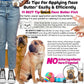 The Blissful Dog Chinese Shar-Pei Nose Butter for Dry, Cracked Skin, Lick-Safe Dog Nose Balm with Moisturizing Shea Butter, Almond, Olive, and Essential Oils, Pet Supplies, Uncented, 0.15 oz.