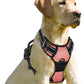 BARKBAY No Pull Dog Harness Front Clip Heavy Duty Reflective Easy Control Handle for Large Dog Walking(Light Pink,XL)