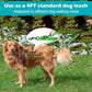 PetBonus Two Point Control Dog Leash, Works with No Pull Harnesses, No Tangle Training Leashes, Soft Padded and Reflective Walking Lead, Converts to Single Lead for Medium Large Dogs (Grass Green)