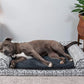 Furhaven Orthopedic Dog Bed for Large/Medium Dogs w/ Removable Bolsters & Washable Cover, For Dogs Up to 55 lbs - Plush & Southwest Kilim Woven Decor Sofa - Boulder Gray, Large