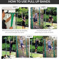 Functional Fitness Pull Up Assist Resistance Bands | Heavy Duty Exercise Bands for Powerlifting, Mobility, and Stretching | Travel Friendly Resistance Bands for Workout