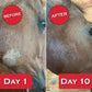 Show Out Skin & Scratches Prevention Pack - Fast Relief and Prevention for Horse Care. Use on Equine Scratches/Mud Fever, Girth Itch, Mange, Rain Rot & Other Skin Issues on Horses w/Empty Spray Bottle
