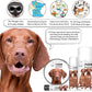 The Blissful Dog Vizsla Unscented Nose Butter, 16oz