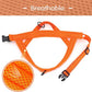 Didog No Pull Dog Harness with Soft Mesh Padded,Reflective & Quick Fit Light Weight Dog Strap Vest Harness,Easy for Walking Training (L:Chest 26-32", Orange)
