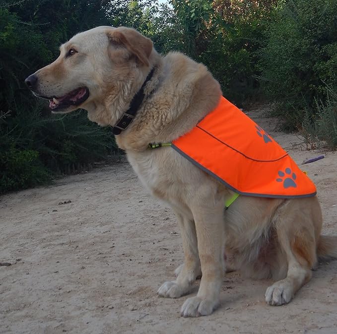 Dog Reflective Vest - Comfortable Jacket Safety Hunting, High Visibility for Dogs with Elastic Straps and Clasp Closure-Yellow, Large