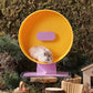Quiet Hamster Wheel 10.2 Inch Dual-Bearings Silent Small Animals Running Exercise Wheel Height Adjustable for Syrian Hamsters, Gerbils, Rats, or Other Small Pets, Passionfruit Yellow