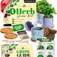 HOME GROWN Indoor Herb Garden Kit w/Glazed Ceramic Pot - Easy-to-Grow Kitchen Window Gardening Starter Set - Unique Housewarming Gift for Women, Mom, Gardeners, Friend, Her, Mother