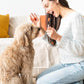 Pet Toothbrushing Assistant for Puppies' Dogs and Cats Allows You to Brush Your pet’s Teeth Without Constantly Worrying About Getting Bitten. (Orange, Medium)