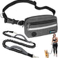 PetAmi Hands Free Dog Leash, Dog Running Leash Belt for Walking, Jogging, Dog Waist Zipper Pouch with Poop Bag Dispenser, Dual Padded Handles, Reflective Durable Bungee Leash, Single, Charcoal Grey