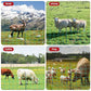 Electric Fence Netting, 164'L x 35.4" H Electric Fence Kit for Livestock, Goat, Dog, Hogs, Double Spiked Portable Electric Poultry Farm Fence, Electric Mesh Fence