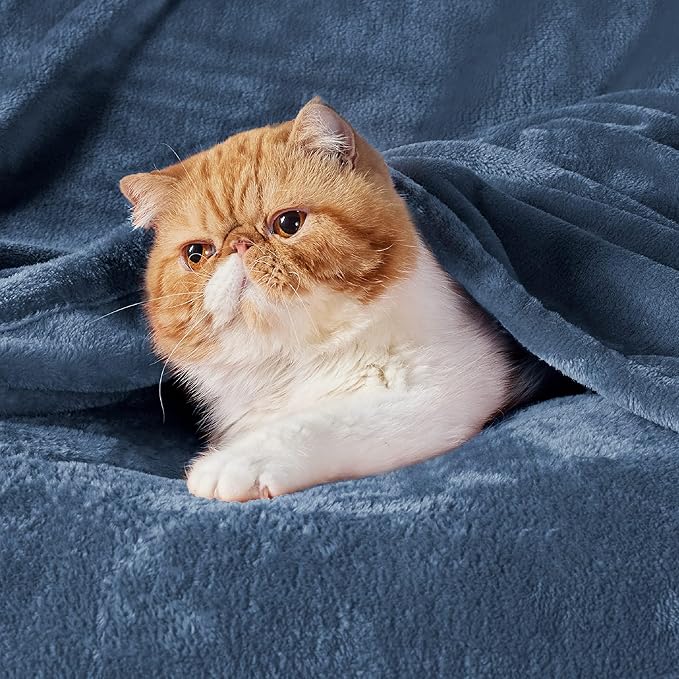Bedsure Fleece Bed Blankets Full Size Mineral Blue - Soft Lightweight Plush Fuzzy Cozy Luxury Blanket Microfiber, 84x90 inches