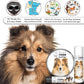 The Blissful Dog Shetland Sheepdog Nose Butter for Dry, Cracked Skin, Lick-Safe Dog Nose Balm with Moisturizing Shea Butter, Almond, Olive, and Essential Oils, Pet Supplies, Uncented, 0.15 oz.