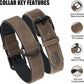 Didog Soft Padded PU Leather Dog Collar, Breathable and Adjustable Dog Collar for Large Dogs, Comfortable for Daily Walk, Brown, XL Fit Neck 17-21"(44-71 lbs)