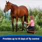 Farnam Endure Sweat-Resistant Fly Spray for Horses, Lasts Up to 14 Days, Protects Against Flies, Gnats, Mosquitoes, Ticks & Lice, 128 oz.