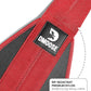 DMoose Fitness Hanging Ab Straps for Pull Up Bar & Core Strength Training - Soft Padded Exercise Straps for Ab Swing & Leg Raises, Hang Bar Strap with 2 Steel Carabiners - Abs Equipment for Home & Gym