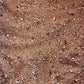 Australian Desert Dragon Habitat 20lb Substrate for Bearded Dragons and Other Lizards, Red (DESERT020)