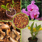72 Quart Reptile Substrate Coconut Chip Bedding Compressed Organic Coco Husk Block for Snake Habitat, Ball Python Terrarium, Turtle Tanks, Tortoise Enclosure, Potting Soil Mix for Greenhouse