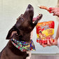 Jungle Calling Dog Treats, Chicken Wrapped Rawhide Sticks for Dogs, Delicious and Nutritious Training Reward Treats and Dog Chews Snacks, 6 oz