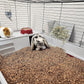 Small Animal Bedding – 20 Liter – Natural Coco Chip Substrate with Activated Charcoal Odor Control – for Chicken Coop, Rabbit Cage, Hamster Habitat, Reptile Terrarium & Snake Tank
