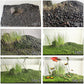 4 Pack Aquarium Plant S.e.e.ds, no Artificial Plastic Plant, Fish Tank Live Grass for All Substrate (0.36ozTiny+0.36oz Long+0.36oz Short+0.36oz Big Dual) ZQV-005
