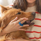 Pet Toothbrushing Assistant for Dogs and Cats Allows You to Brush Your pet’s Teeth Without Constantly Worrying About Getting Bitten Medium Size for Pets Between 15-85 lbs. (7-38.5 Kg)