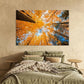 Nature Wall Art Prints - Ocean Forest Mountain Lake Canvas Landscapes - Small to Extra Large Living Room Bedroom Kitchen Bathroom Décor (Blue Sky Through Yellow Autumn Trees, 31L" x 47W")