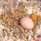 Pampered Chicken Mama Best Eggs Ever! Nesting Herbs for Chickens (4 Pounds) for Chicken Nesting Boxes Calcium Supplement for Chickens | Chicken Feed Supplies, Hen Treats for Coops (4 Bags)
