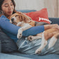 Adams Flea & Tick Collar Plus for Dogs & Puppies |2 Pack |12-Month Protection |One Size Fits All Dogs & Puppies 12 Weeks and Older |Kills Fleas and Ticks |Repels Mosquitoes (excluding California)