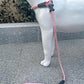 Slip Lead Dog Leash，Strong Nylon Rope Leash and Padded Handle,No Pull Outdoor Walking Training Lead for Small Medium Large Dogs (Pink, 1/2"×4ft)