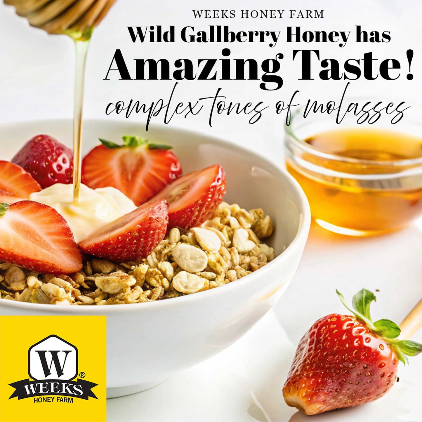 Our Best All-Natural Pure Raw Gallberry Honey