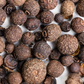 Allspice (Pimenta dioica)