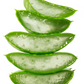Aloe (Aloe vera)