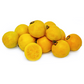 Brazilian Guava (Psidium angulatum)