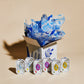 Bela Tins Club - 3 Month Subscription