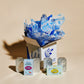 Bela Tins Club - 3 Month Subscription
