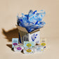 Bela Tins Club - 3 Month Subscription