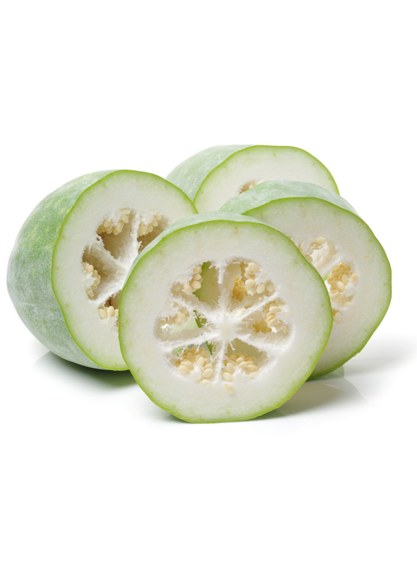 Winter Melon (Benincasa Hispida)