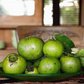 Black Sapote, Seedling (Diospyros nigra)