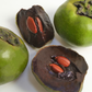 Black Sapote, Seedling (Diospyros nigra)
