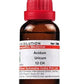 Dr. Willmar Schwabe India Acidum Uricum Dilution