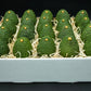 24 Large Hass Avocados - Fresh from the farm