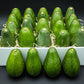24 Large Fuerte Avocados - Fresh From the Farm
