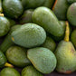 6 Large Hass Avocados