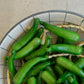 String of Artificial Green Serrano Peppers