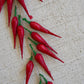 String of Artificial Small Red Chili Peppers