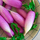 String of Artificial Radishes